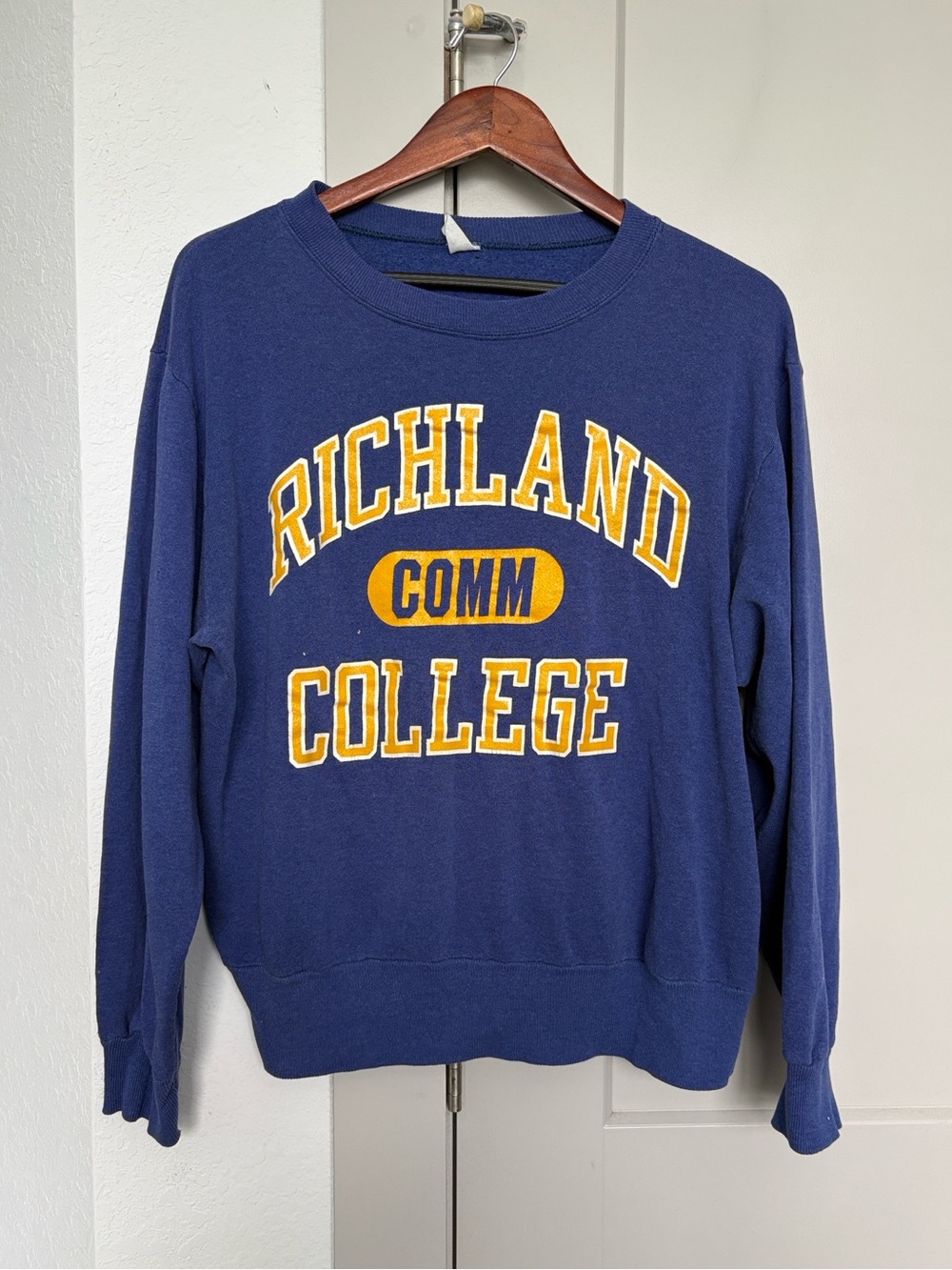 VTG 80S CHAMPION RICHLAND COMMUNITY COLLEGE PURPLE GRAPHIC SWEATSHIRT MENS LARGE